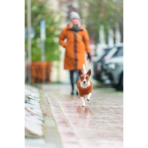 Одяг для собак Trixie Светр CityStyle Berlin помаранчевий XS 27 см 680151_Add фото