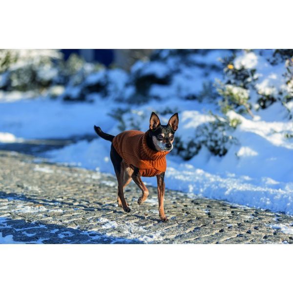 Одяг для собак Trixie Светр CityStyle Berlin помаранчевий XS 27 см 680151_Add фото