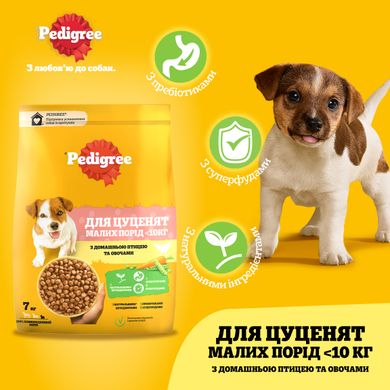 Сухий корм для цуценят малих порід PEDIGREE з птицею та овочами 7 кг (5998749145210)