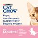 Вологий корм для кошенят CAT CHOW Kitten шматочки у підливці з ягням та цукіні 85 г