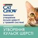 Вологий корм для дорослих котів CAT CHOW Hairball для зменшення утворення кульок шерсті у травному тракті з куркою та зеленою квасолею 85 г