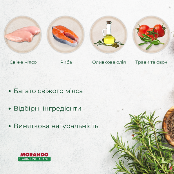 Сухий корм для кошенят Morando Tradizioni Kitten з куркою та лососем 400 g 02764 фото