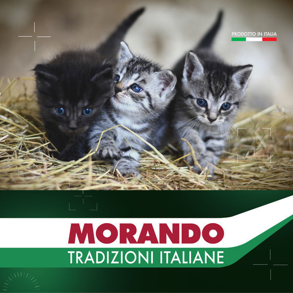 Сухий корм для кошенят Morando Tradizioni Kitten з куркою та лососем 400 g 02764 фото