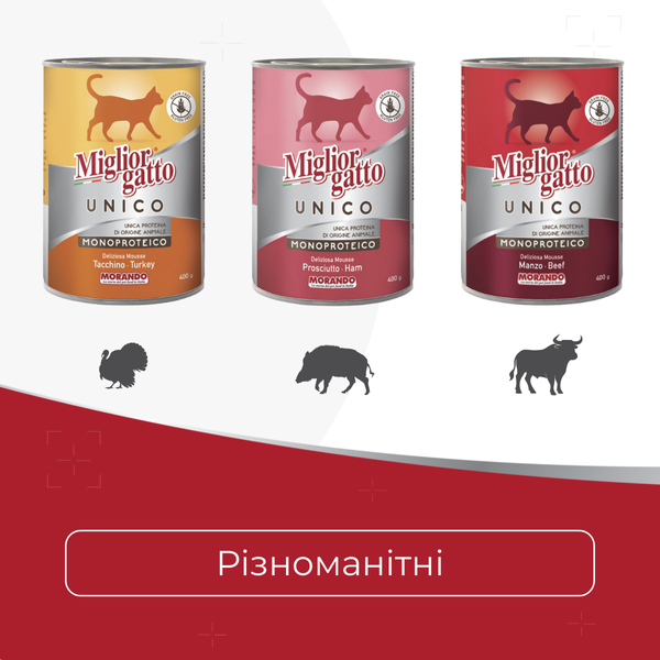 Консерви для котів Morando Miгliorгatto UNICO Rustic яловичина 400 г 03352 фото