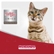 Консерви для котів Morando Miгliorгatto UNICO Rustic яловичина 400 г 03352 фото 5