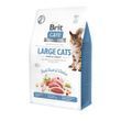 Сухий корм для котів Brit Care Беззерновий для великих котів Large Cats Adult, качка та курка, 400 г