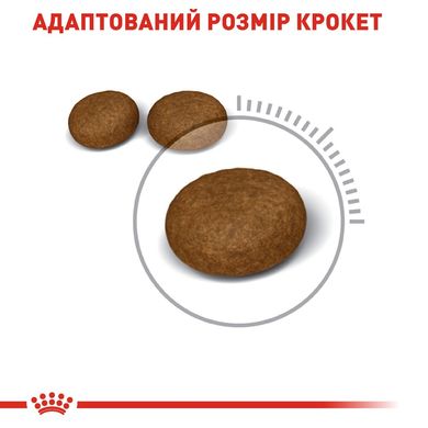 Сухий корм для котів ROYAL CANIN HAIR&SKIN CARE 2 кг