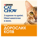 Вологий корм для котів Purina Cat Chow Adult з куркою та цукіні в желе (МУЛЬТИПАК) - 10х85г 76130365960391 фото 2