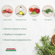 Сухий корм для котів Morando Tradizioni зі свининою, горохом та буряком 400 g 02765 фото 3