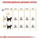 Сухий корм для котів ROYAL CANIN HAIR&SKIN CARE 2 кг