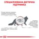 Сухой корм для взрослых кошек ROYAL CANIN GASTRO INTESTINAL CAT 2 кг