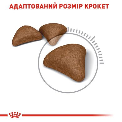 Сухий корм для котів ROYAL CANIN HAIRBALL CARE 0.4 кг