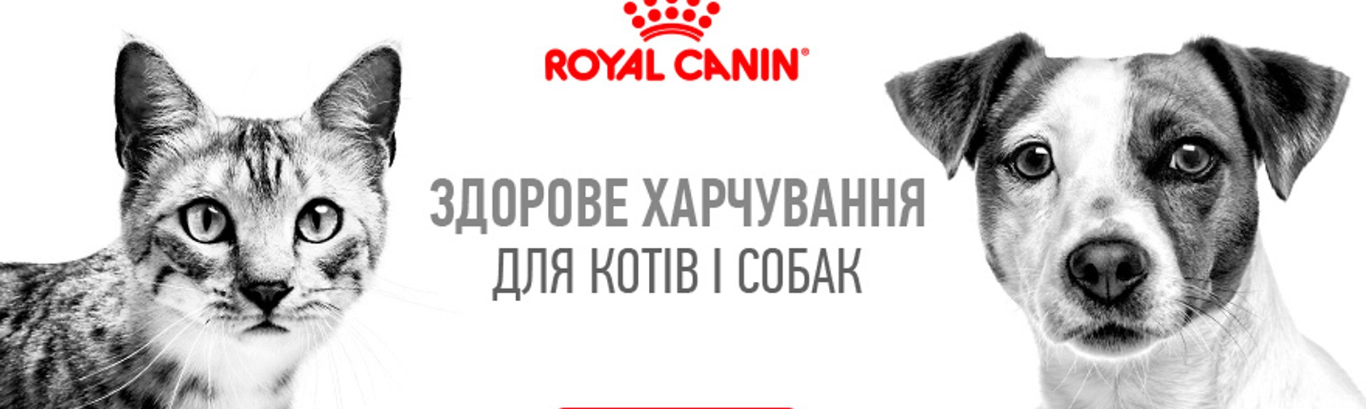 Royal Canin