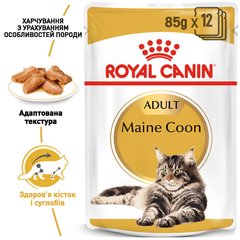 Упаковка вологого корму для дорослих котів ROYAL CANIN MAINECOON ADULT 85 г x 12 шт.