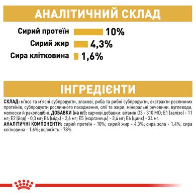 Упаковка вологого корму для дорослих котів ROYAL CANIN MAINECOON ADULT 85 г x 12 шт.