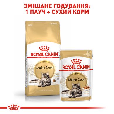 Упаковка вологого корму для дорослих котів ROYAL CANIN MAINECOON ADULT 85 г x 12 шт.