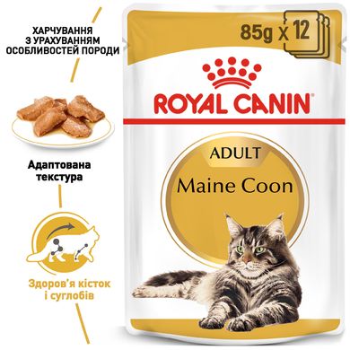 Упаковка вологого корму для дорослих котів ROYAL CANIN MAINECOON ADULT 85 г x 12 шт.