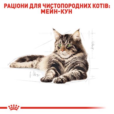 Упаковка вологого корму для дорослих котів ROYAL CANIN MAINECOON ADULT 85 г x 12 шт.