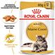 Упаковка вологого корму для дорослих котів ROYAL CANIN MAINECOON ADULT 85 г x 12 шт.