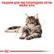 Упаковка вологого корму для дорослих котів ROYAL CANIN MAINECOON ADULT 85 г x 12 шт.