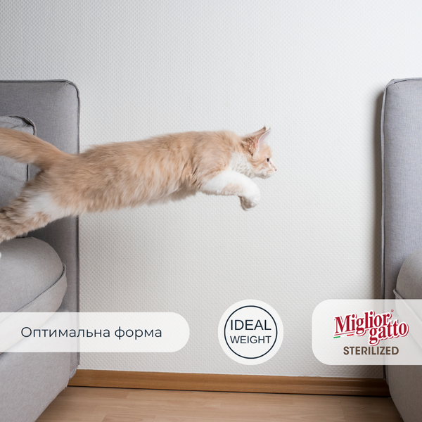 Сухий корм для стерилізованих котів Morando Miгliorгatto Sterilized з лососем 400 г 01487 фото