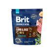 Сухий корм для собак Brit Premium з чутливим травленням By Nature Sensitive, Ягня, 1 кг