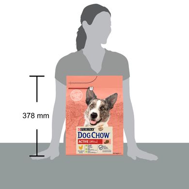 Сухий корм для дорослих собак DOG CHOW Active Adult 1+ з підвищеною активністю з куркою 2,5 кг