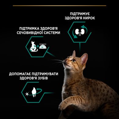 Сухий корм для дорослих котів PRO PLAN Sterilised Adult 1+ Renal Plus після стерилізації з індичкою 1,5 кг