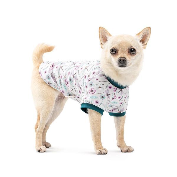 Одяг для собак Pet Fashion Футболка Flora бавовна трикотаж біла з квітковим принтом S PR441525***** фото