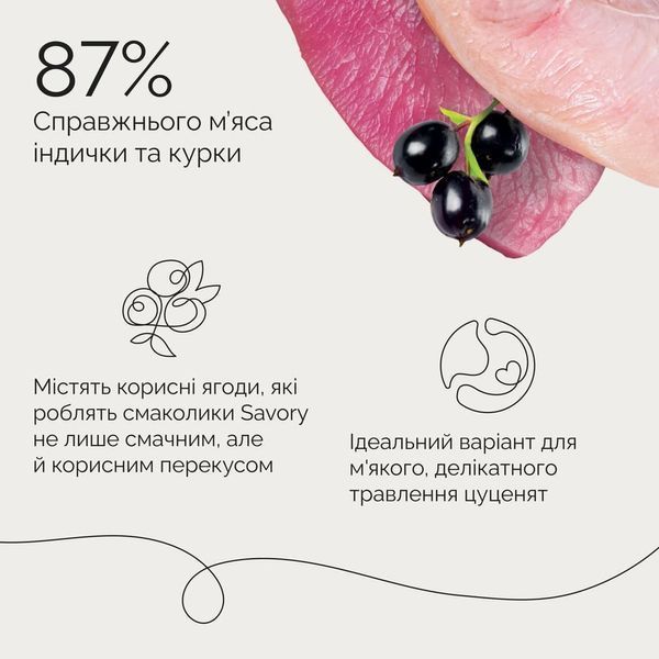 Ласощі для собак Savory М&rsquo;які для цуценят Puppy Coins, Монетки з індичкою 100 г 21090 фото