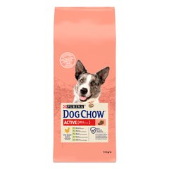 Сухий корм для дорослих собак DOG CHOW Active Adult 1+ з підвищеною активністю з куркою 14 кг