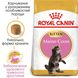 Сухий корм для кошенят ROYAL CANIN MAINECOON KITTEN 0.4 кг