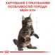 Сухий корм для кошенят ROYAL CANIN MAINECOON KITTEN 0.4 кг