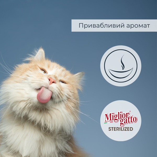 Беззернові консерви для стерилізованих котів Morando Miгliorгatto Sterilized лосось шматочки в желе 85 г 01471 фото