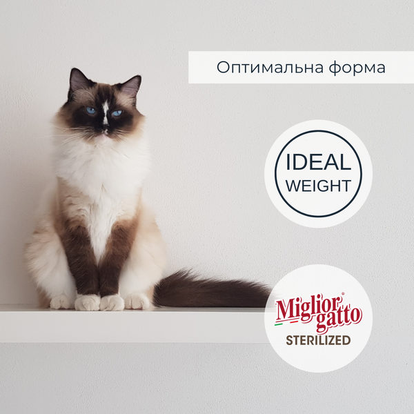 Беззернові консерви для стерилізованих котів Morando Miгliorгatto Sterilized лосось шматочки в желе 85 г 01471 фото