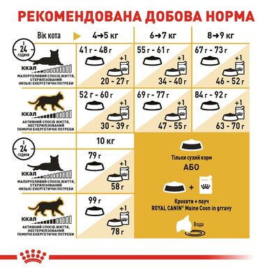 Сухий корм для дорослих котів ROYAL CANIN MAINECOON ADULT 2 кг