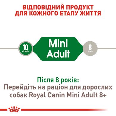 Сухий корм для дорослих собак ROYAL CANIN MINI ADULT 0.8 кг