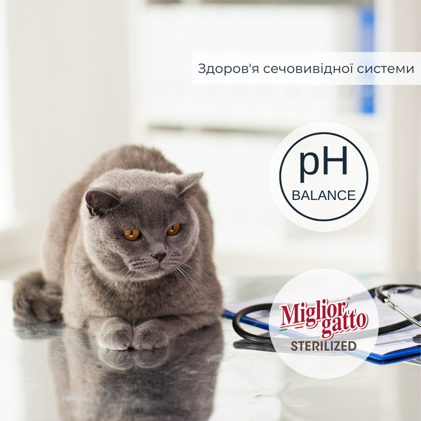 Беззернові консерви для стерилізованих котів Morando Miгliorгatto Sterilized ягня з овочами шматочки в соусі 85 г 01472 фото