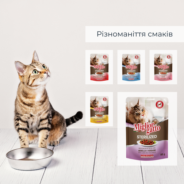 Беззернові консерви для стерилізованих котів Morando Miгliorгatto Sterilized ягня з овочами шматочки в соусі 85 г 01472 фото