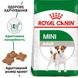 Сухий корм для дорослих собак ROYAL CANIN MINI ADULT 0.8 кг