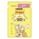 Вологий корм для кошенят FRISKIES Junior шматочки у підливці з куркою 85 г