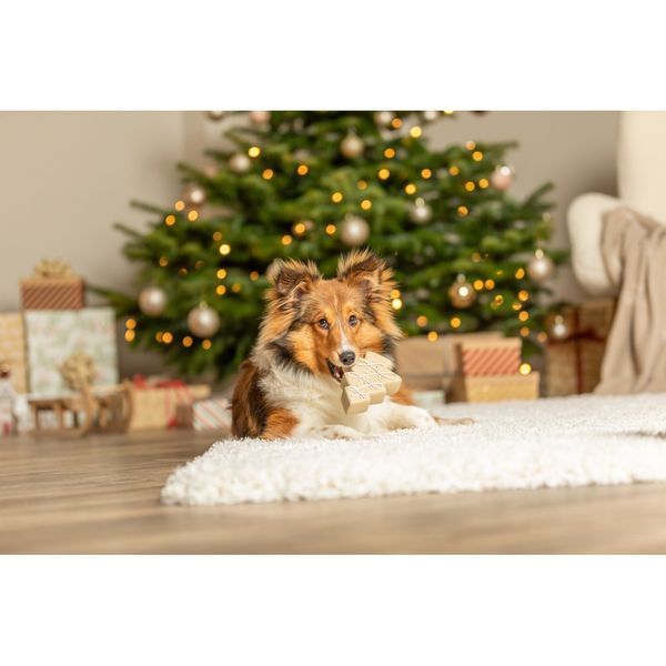 Іграшка для собак Trixie Різдвяна Ялинка латекс 13 см 92014 XMAS***** фото