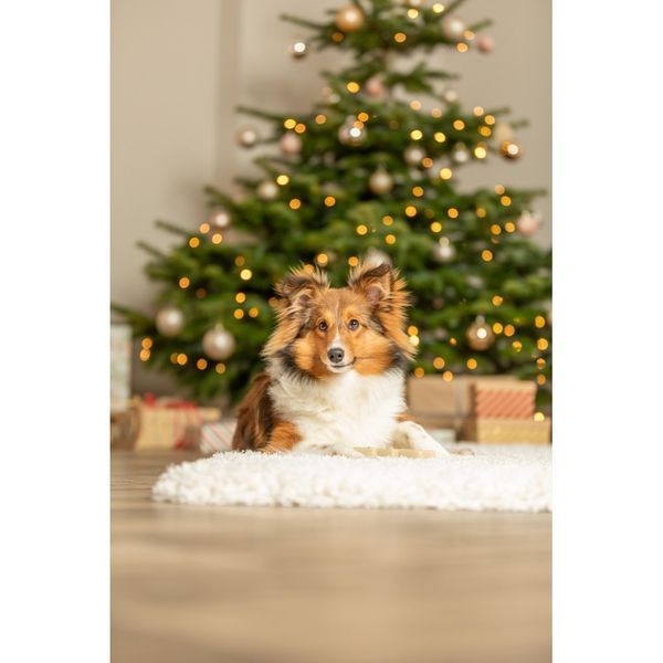 Іграшка для собак Trixie Різдвяна Ялинка латекс 13 см 92014 XMAS***** фото