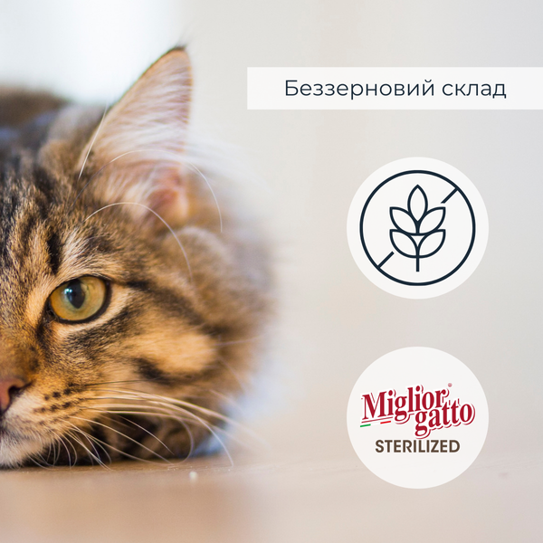 Беззернові консерви для стерилізованих котів Morando Miгliorгatto Sterilized яловичина і шинка шматочки в соусі 85 г 01473 фото