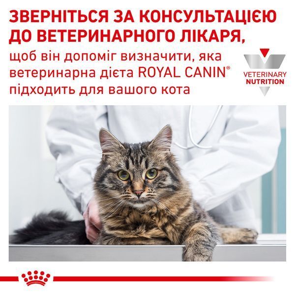 Сухий ветеринарний корм для дорослих котів Royal Canin Gastrointestinal з порушенням травлення 2 кг 39050201 фото