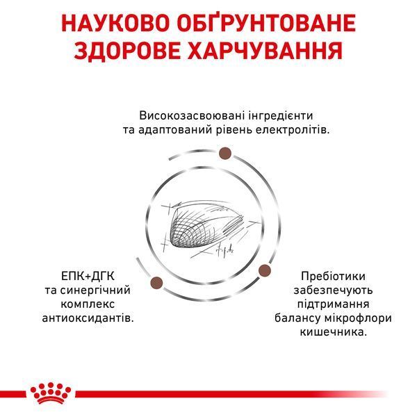 Сухий ветеринарний корм для дорослих котів Royal Canin Gastrointestinal з порушенням травлення 2 кг 39050201 фото