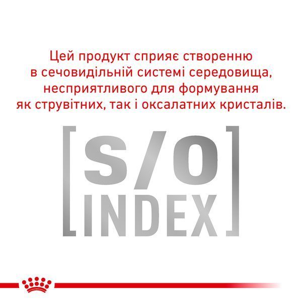 Сухий ветеринарний корм для дорослих котів Royal Canin Gastrointestinal з порушенням травлення 2 кг 39050201 фото