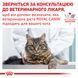 Сухий ветеринарний корм для дорослих котів Royal Canin Gastrointestinal з порушенням травлення 2 кг 39050201 фото 2
