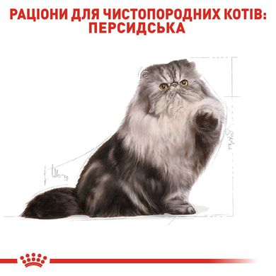 Сухий корм для дорослих котів ROYAL CANIN PERSIAN ADULT 2 кг