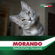 Консерви для котів Morando Tradizioni шматочки у соусі з яловичиною 405 g 02776 фото 6